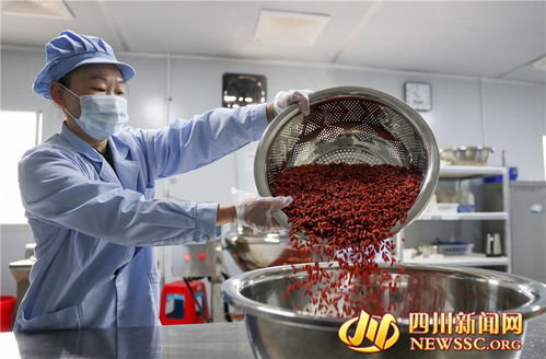 廣安鄉(xiāng)村微工廠 富硒食品生產(chǎn)忙，點(diǎn)燃鄉(xiāng)村振興新引擎
